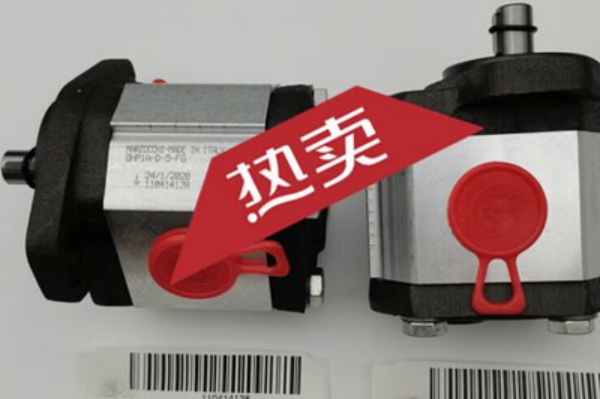 意大利Marzocchi齒輪泵GHP1A-D-7-FG，馬祖奇雙聯齒輪泵ALP2BK1-D-12-FG-V
